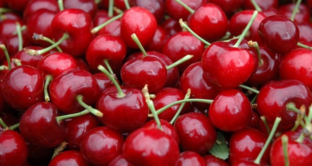 Cerezas